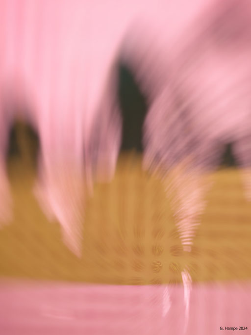 Unknown people