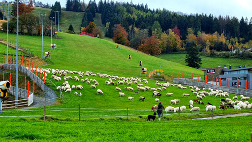 Ettelsberg im Sommer 