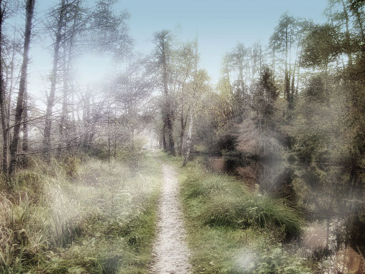 Der Weg