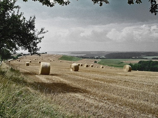 Erntezeit auf dem Land