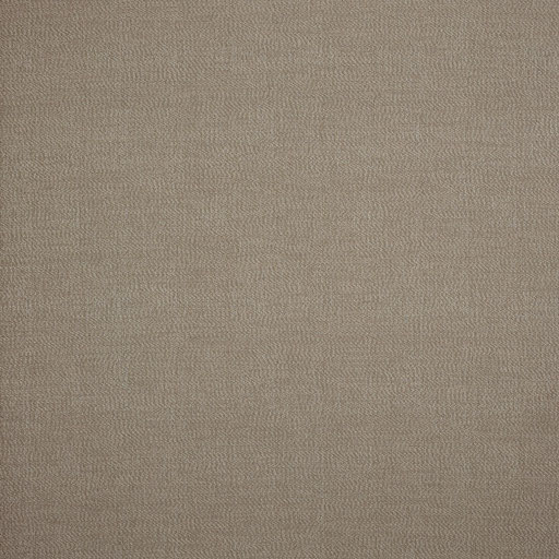 savane coconut