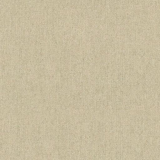 papyrus