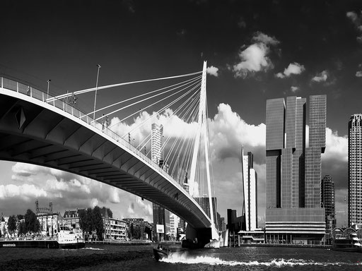 Erasmus-Brücke, Rotterdam