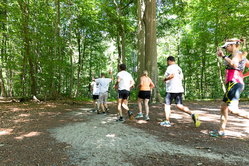 Darmstädter Lauf-Treff, 7-Hügel-Lauf Bild: Christa Daum