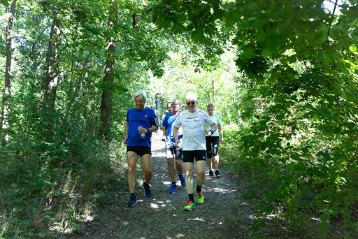 Darmstädter Lauf-Treff, 7-Hügel-Lauf Bild: Christa Daum