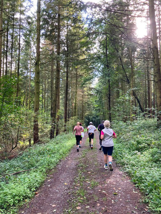 Darmstädter Lauf-Treff Hutzellauf 27.9.2025, Foto: Kathrin H.