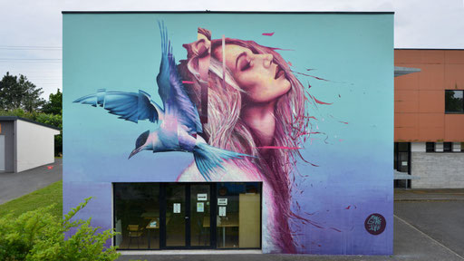 artiste streetart festival just do paint #4 quatrième édition 2021 saint-brieuc bretagne graffiti street art graffmatt street artist français chambéry savoie tsf crew france art urbain facades
