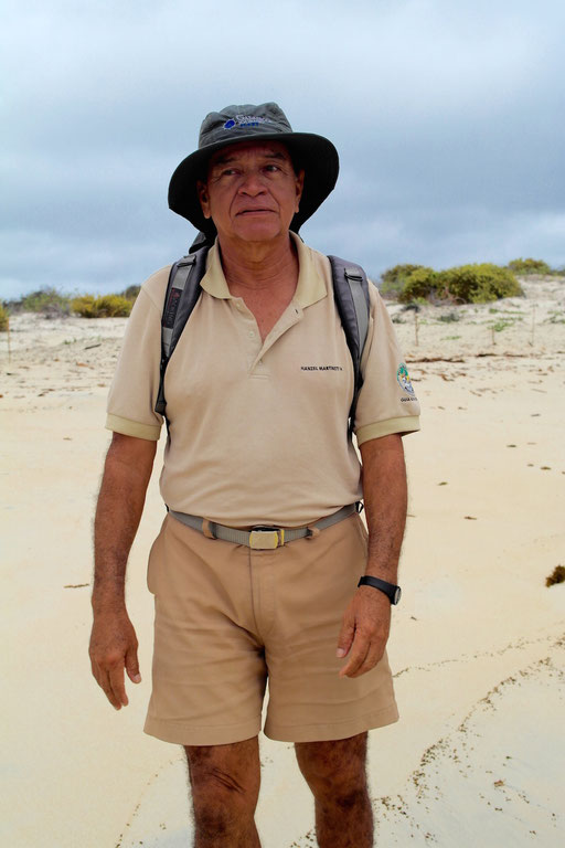 Guía Hanzel