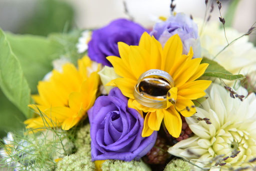 Fotograf für Hochzeit in Bielefeld
