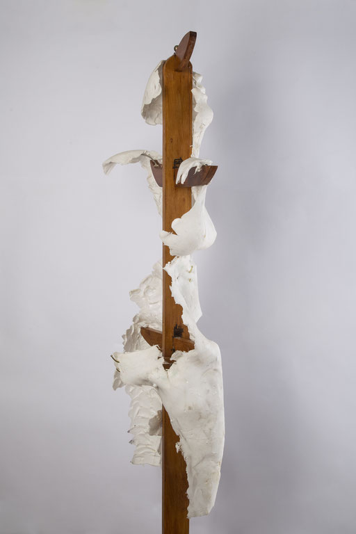 ENVASE NO RETORNABLE. 2015. 42 x 40 x 150 cm. Silicona - madera multilaminada