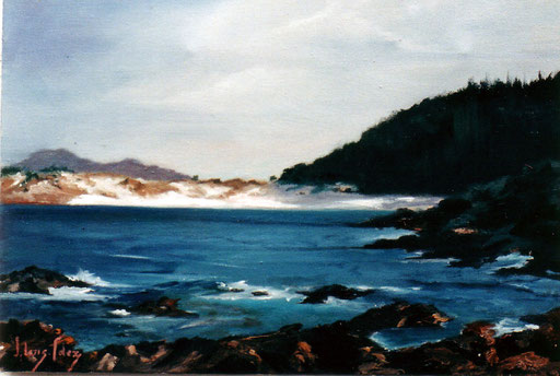 Playa de Figueras en las I.Cies,medidas:35x22,pvp:125-E,óleo sobre tela