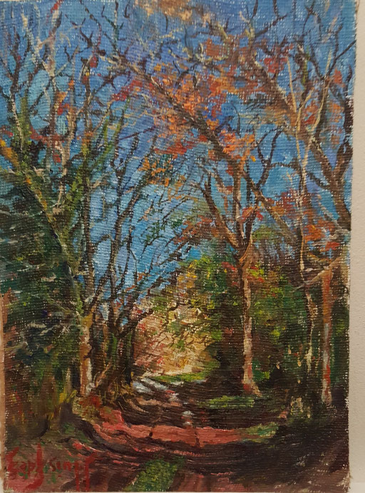 Corredoira en otoño sita en Ferreirua-P de Brollon. Óleo sobre lienzo-46x33,Pvp;1500-E