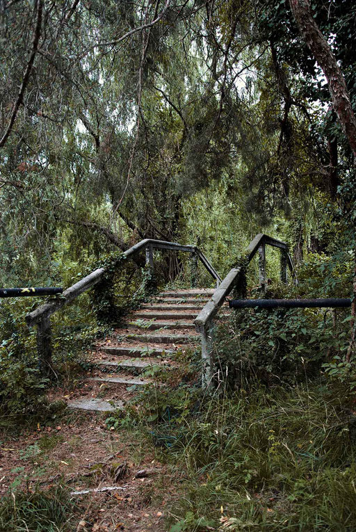Verwunschene Brücke - Prints, Poster, Naturfotografie von Malina Bura