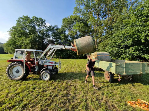 Heuernte, Aufladen der Rundballen am Hof Mairhans
