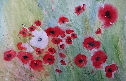 Coquelicots n° 15 23x33 (2018) Collection privée