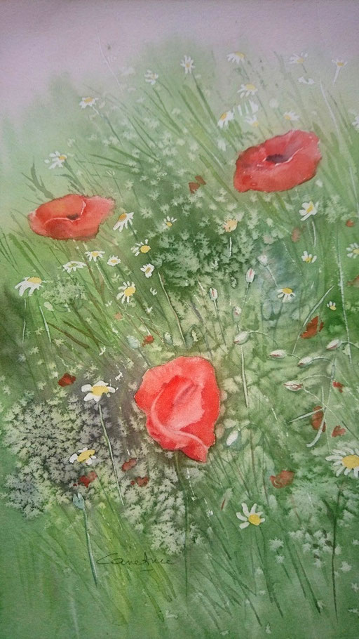 Coquelicots et fleurs des champs n°10 17x27  (2018) Collection privée