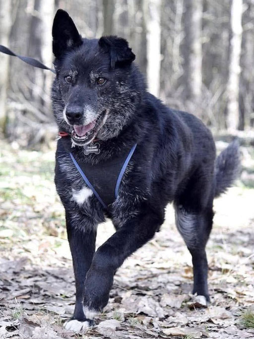 Balu