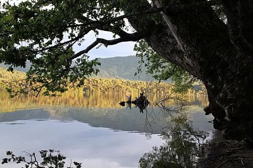 Lanin N.P. - Lago Quillen