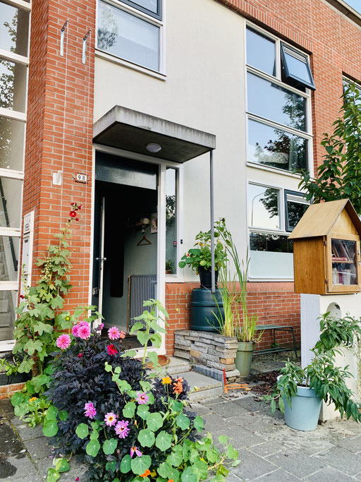 RVS Klimkabels voor planten