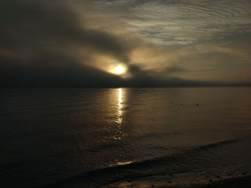 fog