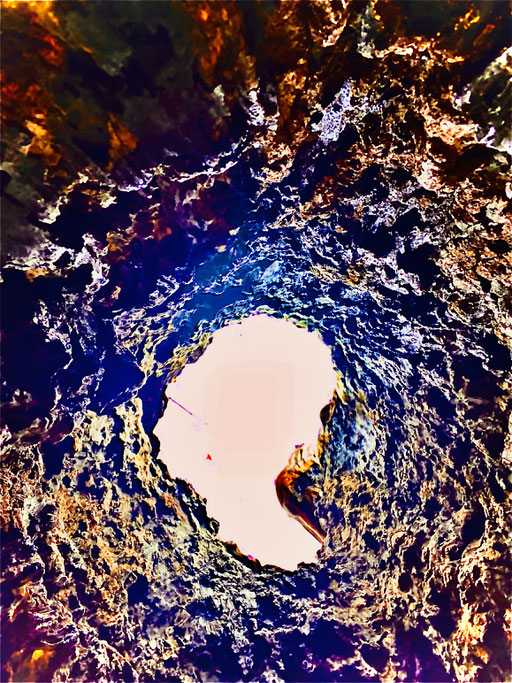 inside the tree
