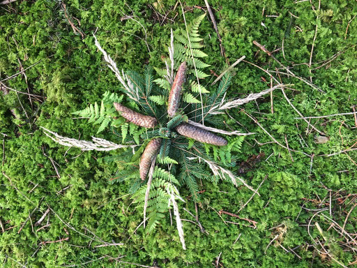 LandArt in der Natur