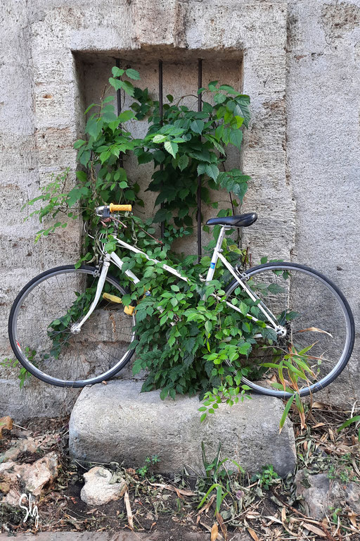 Feuillage à vélo - Pézenas (Hérault) - 2021