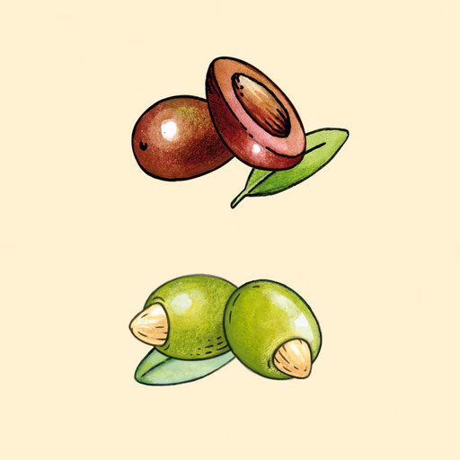 © Illustration für Alnatura Produktions- und Handels GmbH, Auftraggeber & Verpackungsdesign: Eber­le GmbH Wer­be­agen­tur GWA