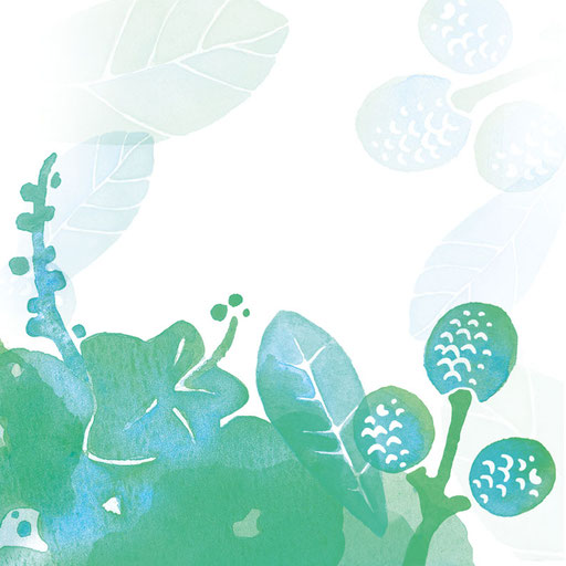 © Illustration für amo como soy, Auftraggeber & Verpackungsdesign: Dittus Design | Packaging Design & Branding
