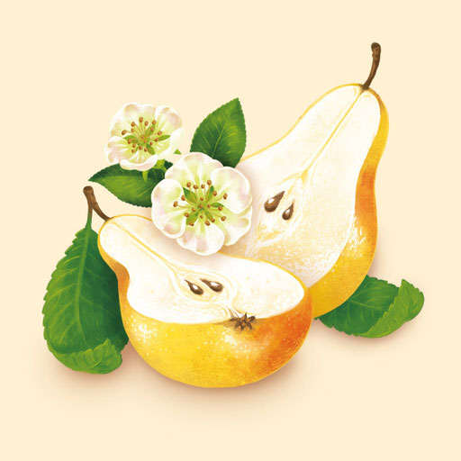 © Illustration für Beutelsbacher Fruchtsaftkelterei GmbH, Auftraggeber & Verpackungsdesign: Dittus Design | Packaging Design & Branding