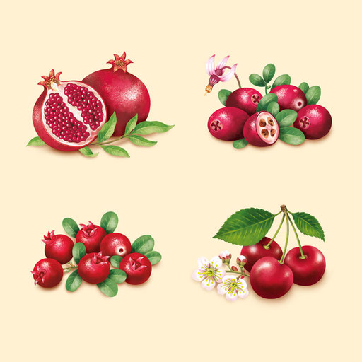 © Illustration für Beutelsbacher Fruchtsaftkelterei GmbH, Auftraggeber & Verpackungsdesign: Dittus Design | Packaging Design & Branding