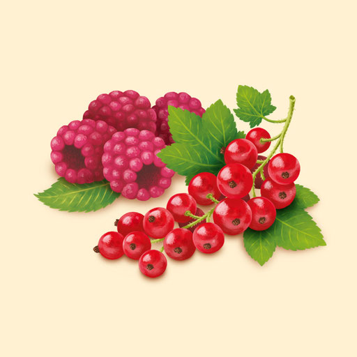 © Illustration für Beutelsbacher Fruchtsaftkelterei GmbH, Auftraggeber & Verpackungsdesign: Dittus Design | Packaging Design & Branding
