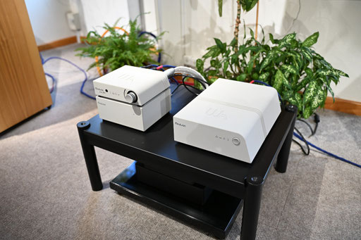 Wattson Madison - Reiki Audio Super Switch PRO