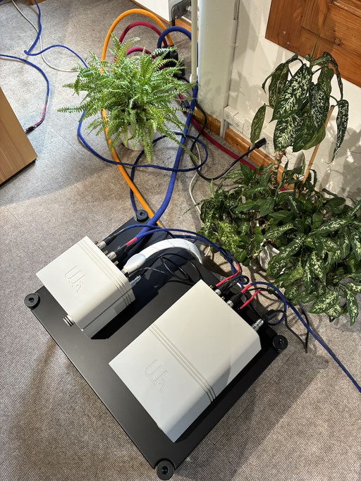 Wattson Audio Madison - Luna Cables