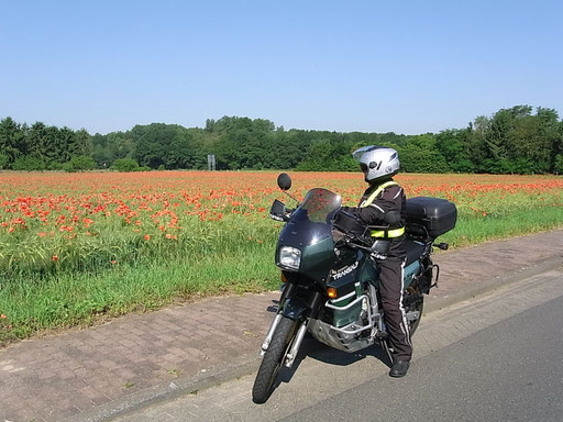 Kornfeld mit Mohn zwischen Waldfeucht und Haaren