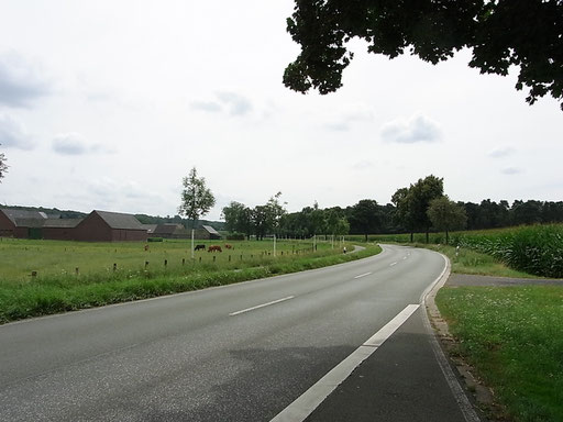 Straße Richtung Herongen