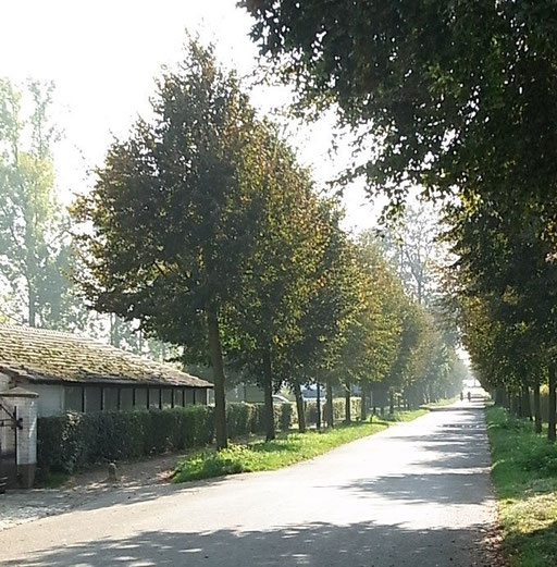 Auf dem Weg von Thorn nach Wessem