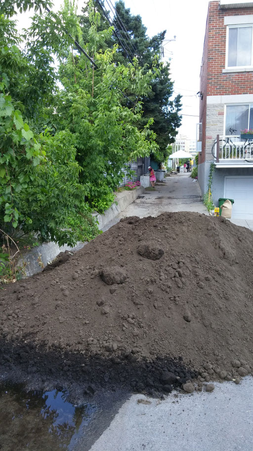 Terre de jardin pour la ruelle verte LE RACCOURCI