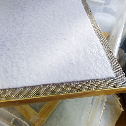 producing self-made paper in 2022