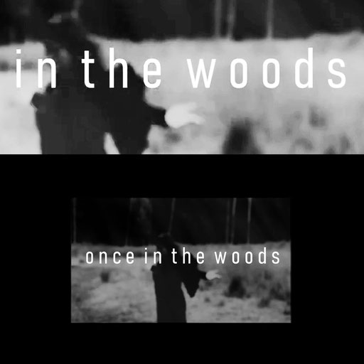 Once In The Woods POETRY GIRL
