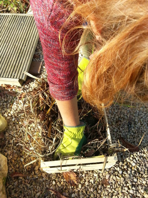 Dann finden wir einen schlafenden Igel - mitten im Hang zum Teich