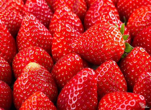 "Viele Erdbeeren" SKU: 16_58_005