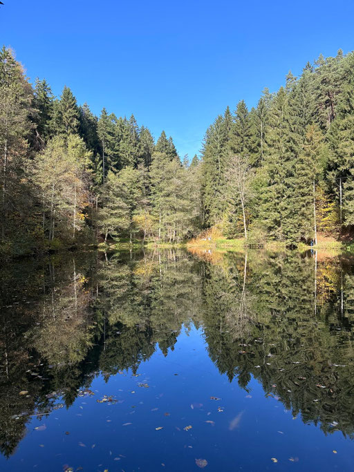Zwergsee