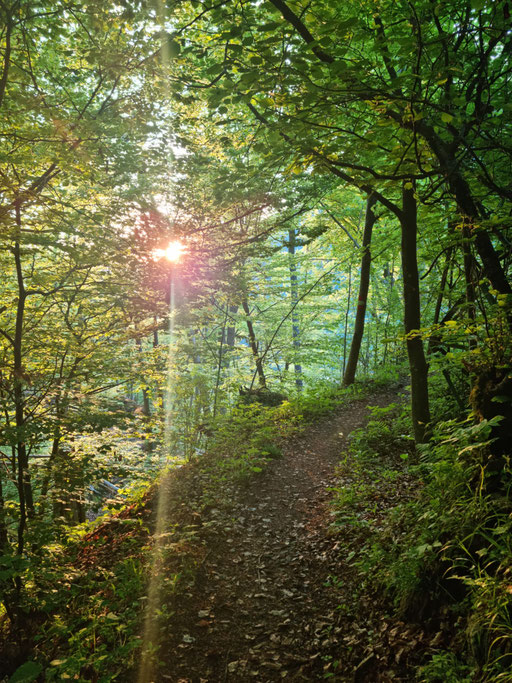 Waldweg am Millstätter See
