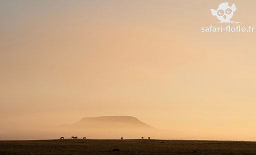 Afrique du Sud