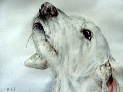 Hundeportrait Aquarell, verstorbene Hündin aus dem Tierschutz