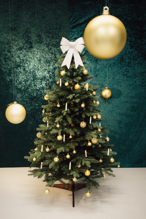 Weihnachtssetting Baum vor grün Studio 2