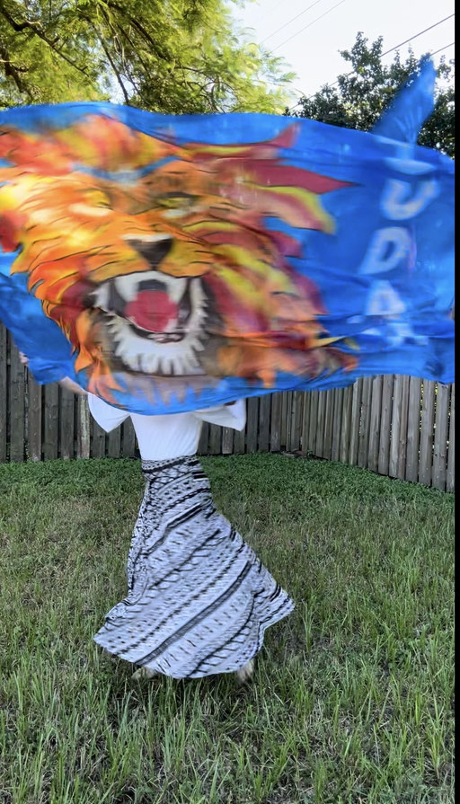 Large roaring lion face on blue background
