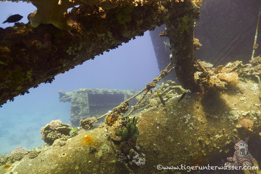 Ghiannis D / Abu Nuhas - Red Sea / Aquarius Diving Club