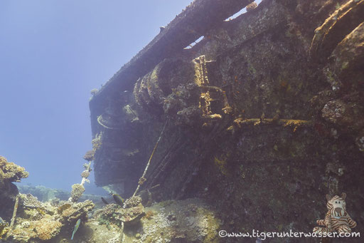 Ghiannis D / Abu Nuhas - Red Sea / Aquarius Diving Club